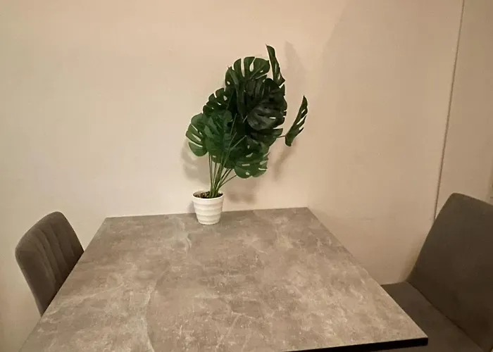 Blick Auf Den Weinberg - Mit Balkon * Trier